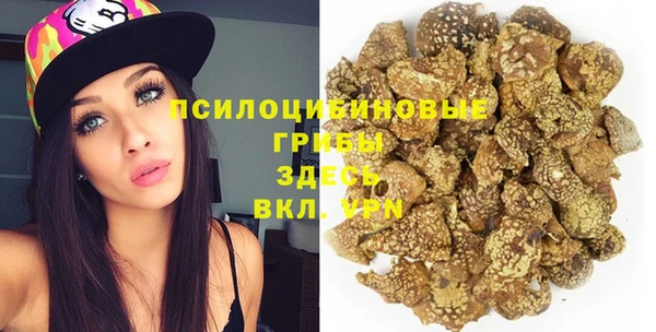 PSILOCYBIN Медвежьегорск