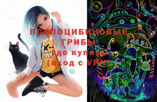PSILOCYBIN Медвежьегорск