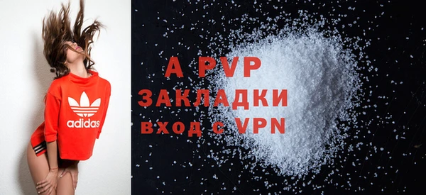 PSILOCYBIN Медвежьегорск