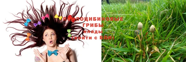 PSILOCYBIN Медвежьегорск